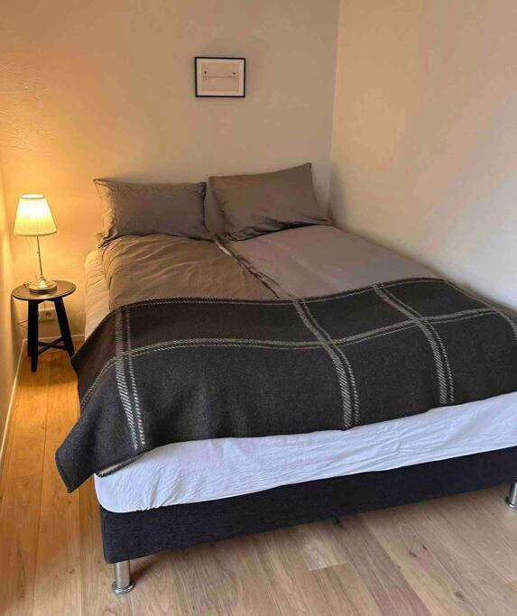 Studio Apartment Reykjavik City Center Exteriör bild