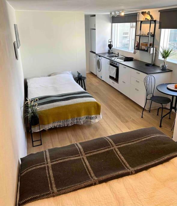 Studio Apartment Reykjavik City Center Exteriör bild