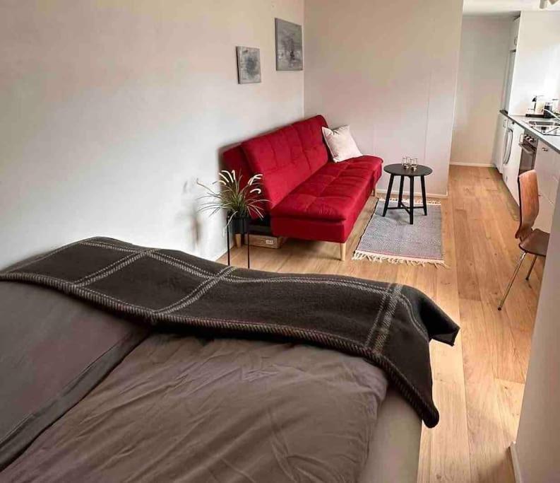 Studio Apartment Reykjavik City Center Exteriör bild